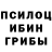 Псилоцибиновые грибы Psilocybine cubensis Hoffa.,thanks Allen