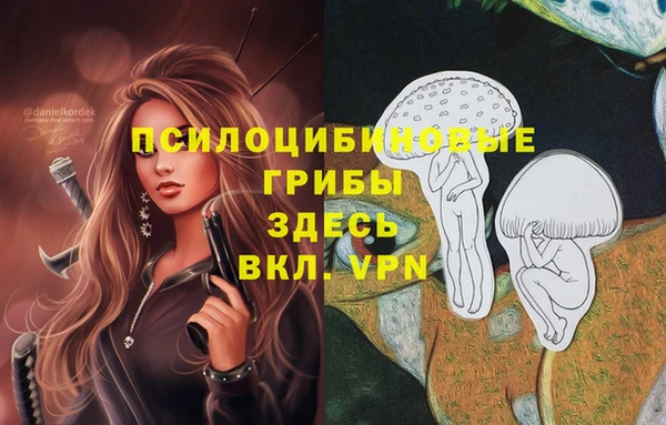 сатива Апатиты