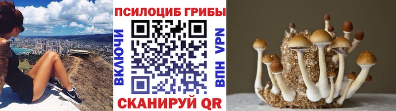 Галлюциногенные грибы Cubensis МЕГА ссылки Сафоново