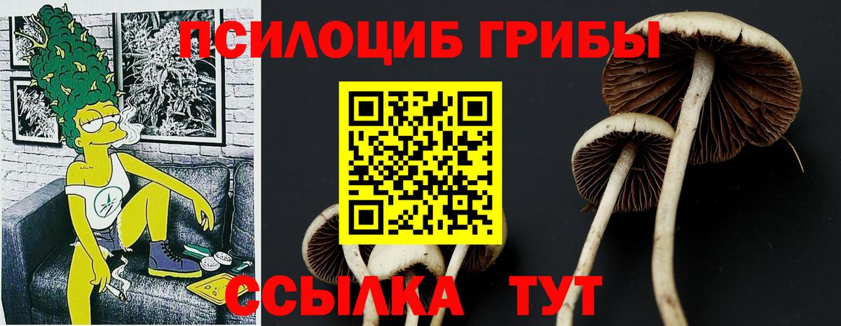 Псилоцибиновые грибы GOLDEN TEACHER Сафоново