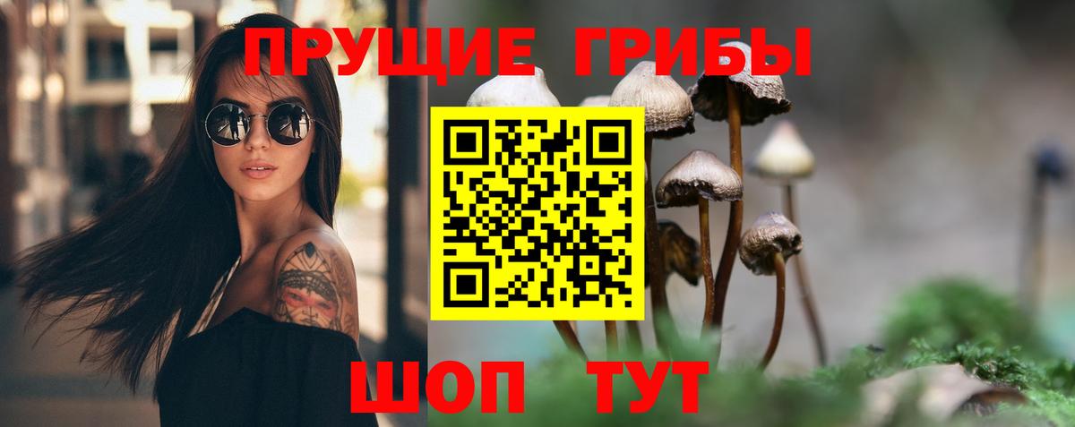 Псилоцибиновые грибы Psilocybine cubensis  Сафоново  Псилоцибиновые грибы мухоморы 