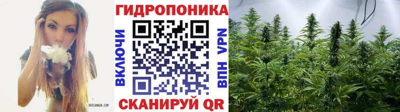 Каннабис тримм  продажа наркотиков  Сафоново 